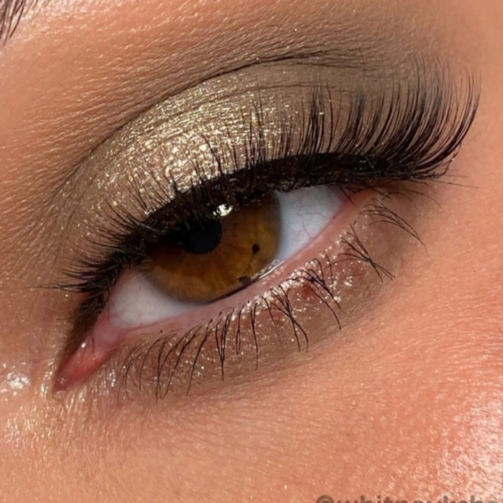 Colourpop Pressed Powder Eyeshadow Palette - Neutral Cream & Tan Shades - Picture 3 of 5
